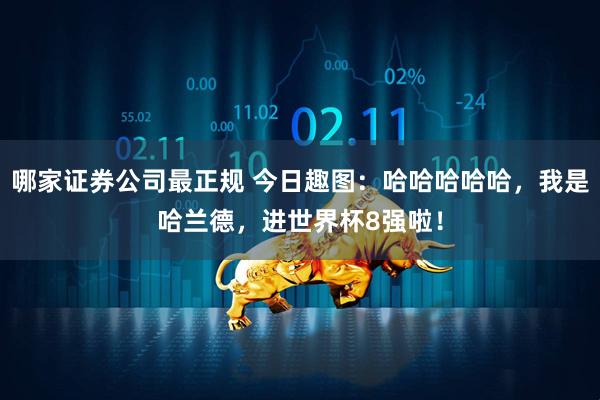 哪家证券公司最正规 今日趣图：哈哈哈哈哈，我是哈兰德，进世界杯8强啦！
